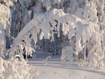 finlande - motoneige